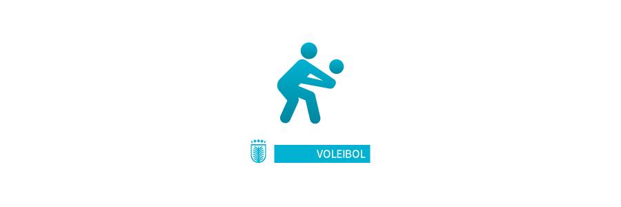 Alcaravaneras - Pista de voleibol [instalación]